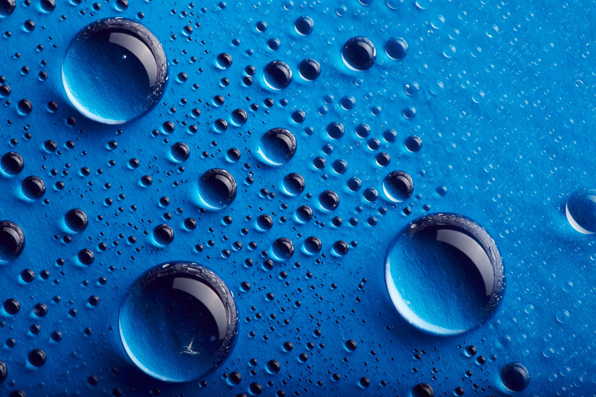 Banner Image 1